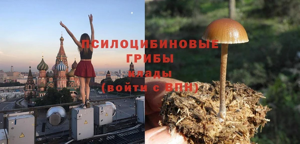 мет Балахна