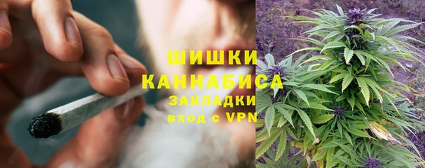 шишки Баксан
