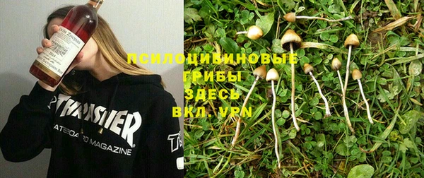 дмт Балабаново
