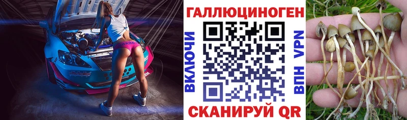 Галлюциногенные грибы прущие грибы  OMG ТОР  Ливны  сколько стоит 